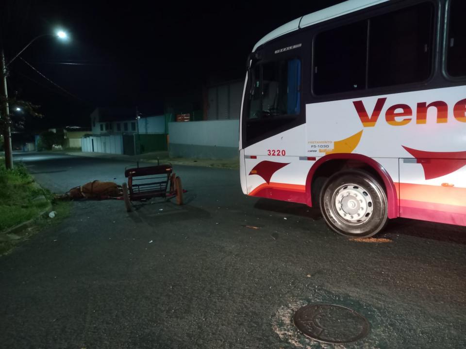 Foto 2 de 4 — Acidente entre carroça e ônibus fere 4 pessoas e mata cavalo no Distrito Industrial
